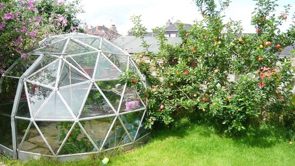 geodesic-dome-1 (1)