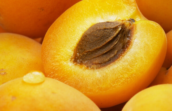apricot (1)