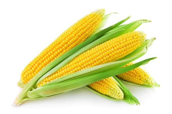 corn.full (1)