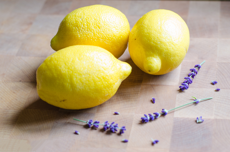 lemon-lavender-bars-1