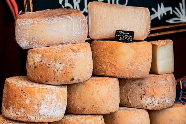 классификация сыров какие бывают виды сыра