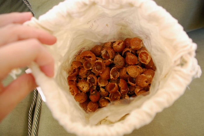 soap nuts (1)