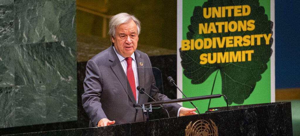 ООН саммит по биоразнообразию