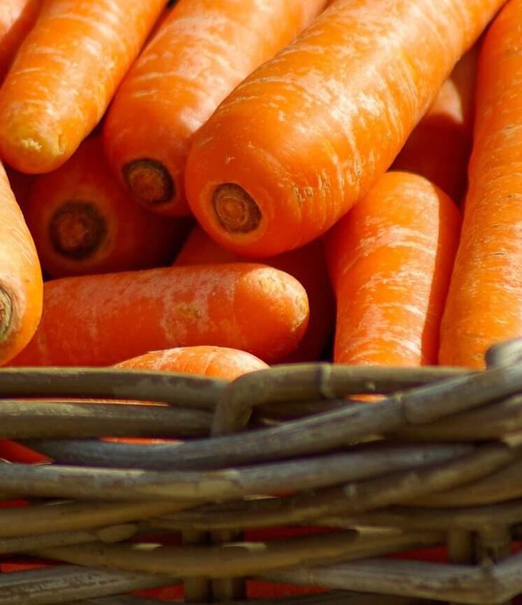 морковь Изображение jacqueline macou с сайта Pixabay