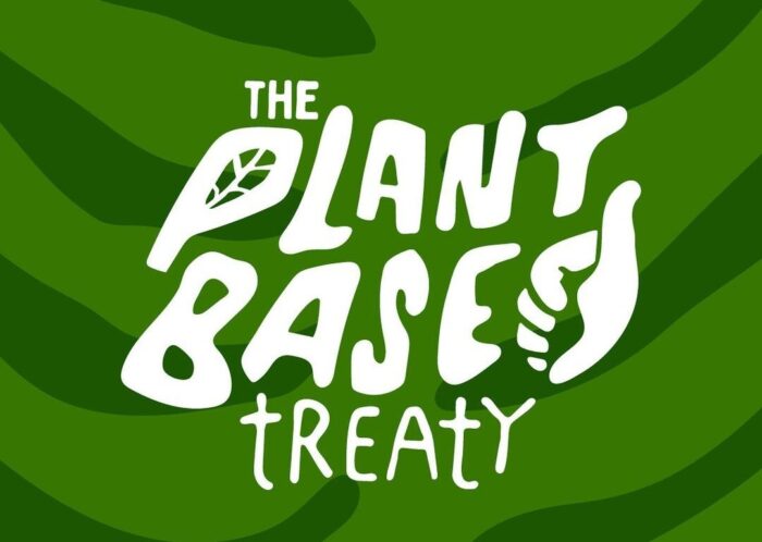 договор о растениях