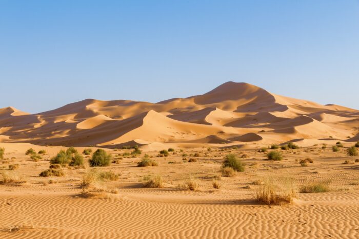 Сахара дюны Изображение Djamel RAMDANI с сайта Pixabay