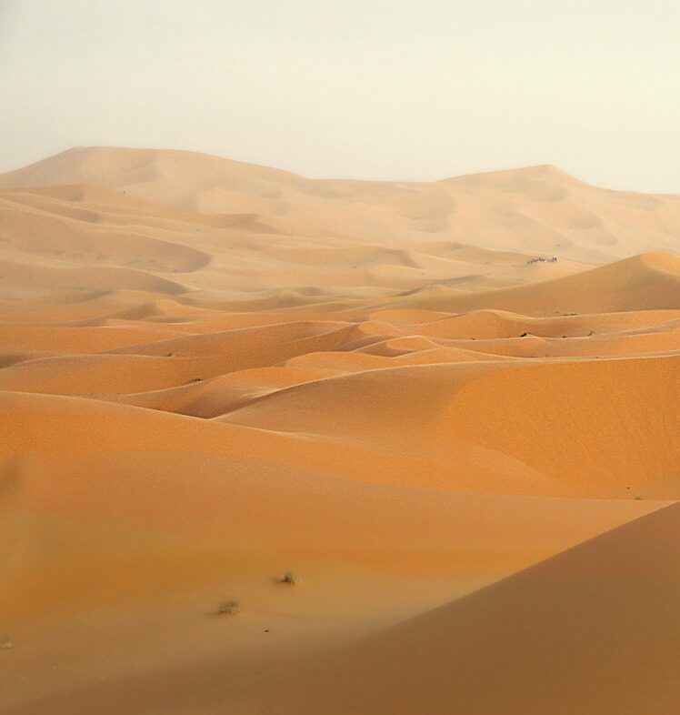Самые интересные пустыни мира Изображение Greg Montani с сайта Pixabay