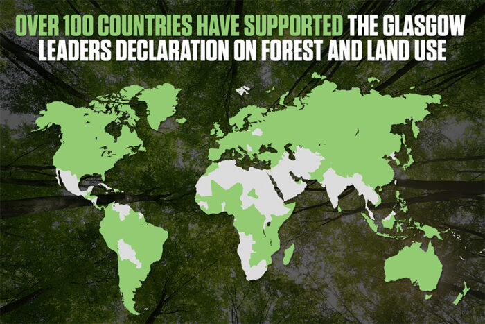 декларация о лесах Глазго 2021
