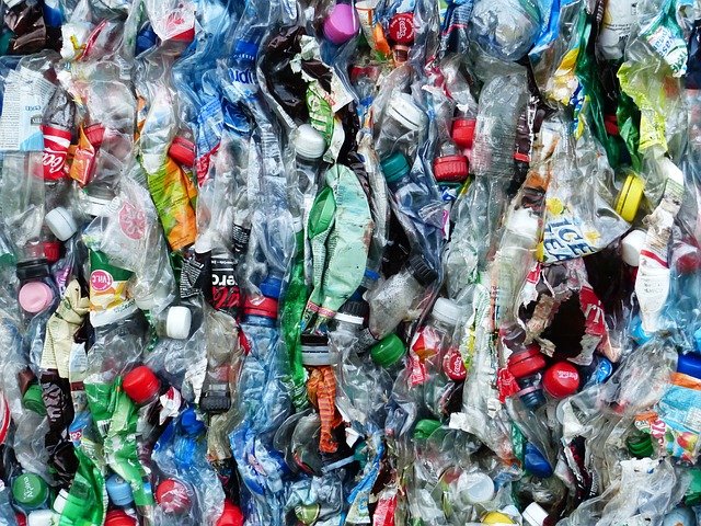 Бактерии уничтожают пластик
